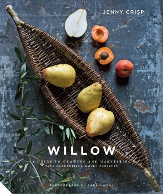 Willow