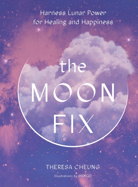 Cover image for book The Moon Fix