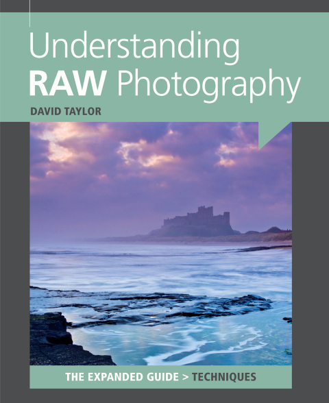 Cover image for book Understanding RAW Photography