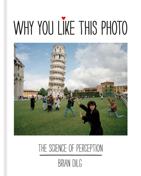 Cover image for book Why You Like This Photo