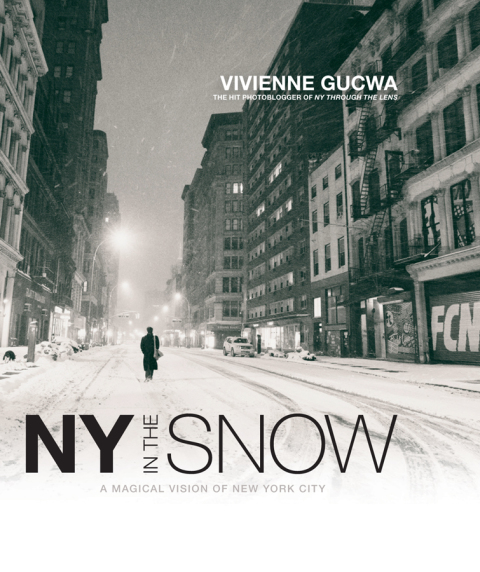 Cover image for book New York In The Snow