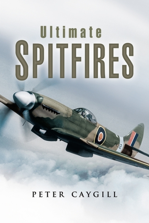 Cover image for book Ultimate Spitfires