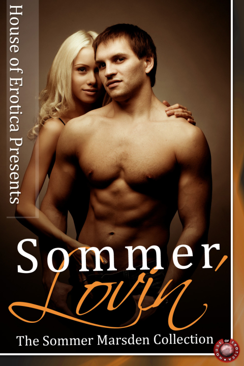 Cover image for book Sommer Lovin'