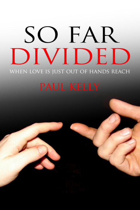 Cover image for book So Far Divided