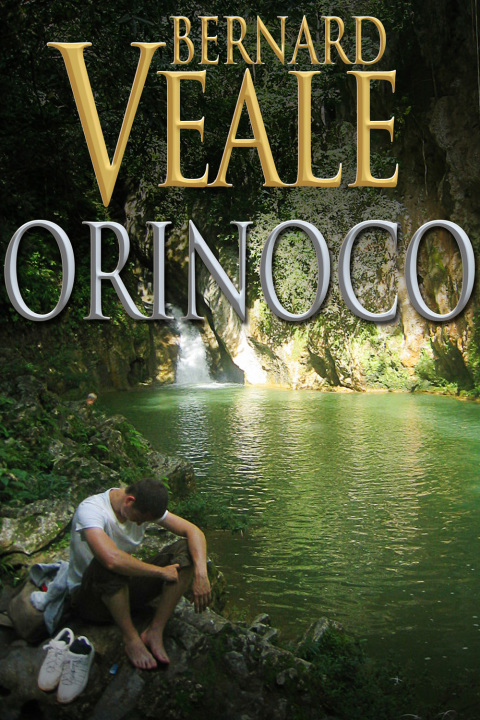 Cover image for book Orinoco