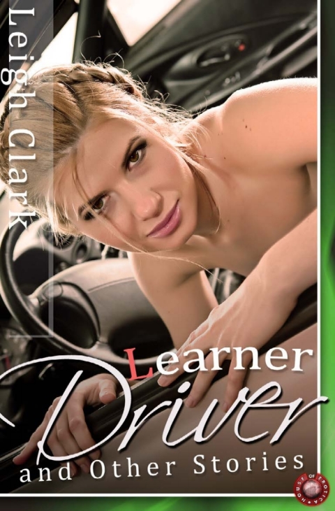 Cover image for book Learner Driver and Other Stories