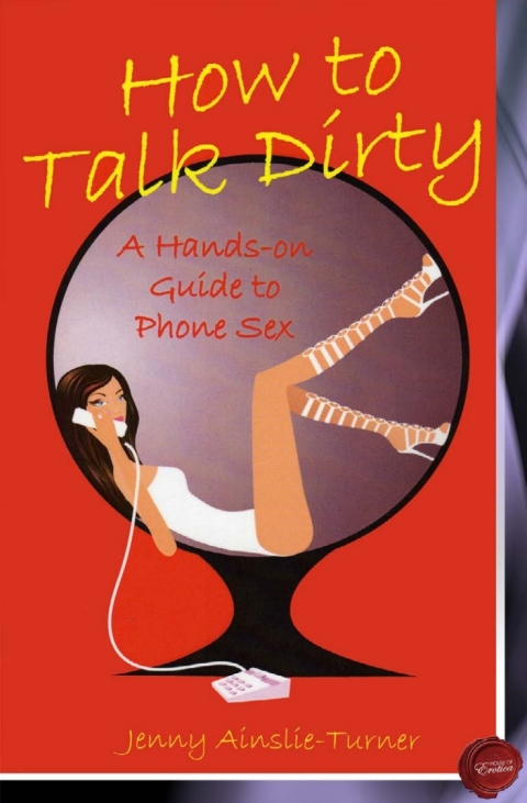 Cover image for book How to Talk Dirty