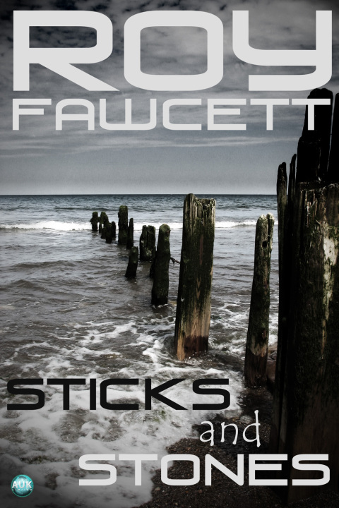 Cover image for book Sticks and Stones