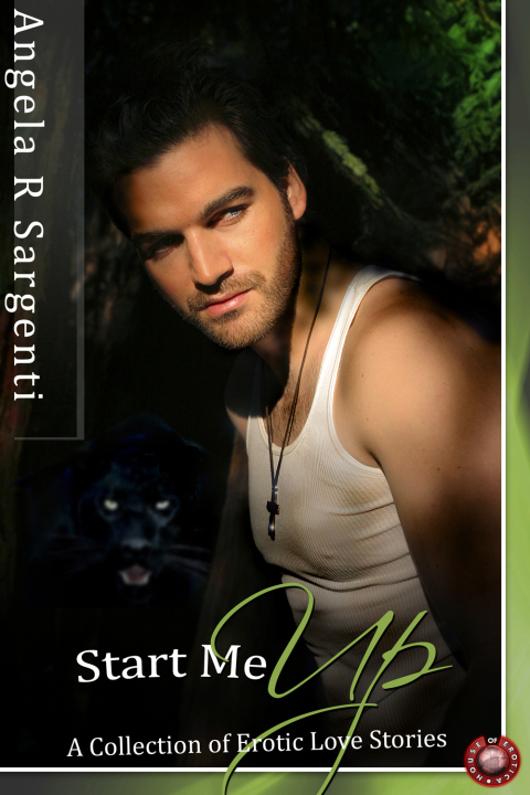 Cover image for book Start Me Up: A Collection of Erotic Love Stories