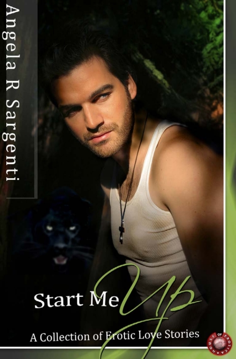 Cover image for book Start Me Up: A Collection of Erotic Love Stories