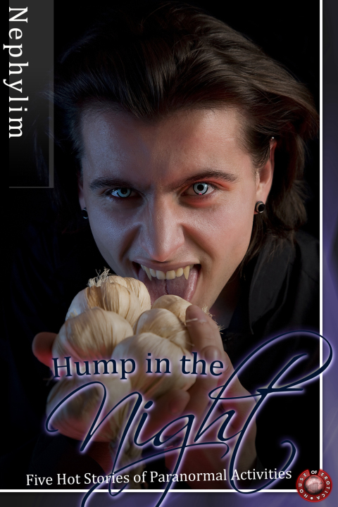 Cover image for book Hump in the Night