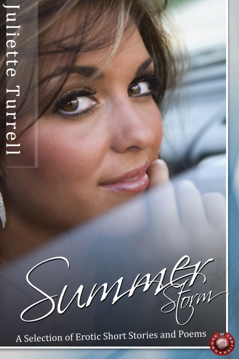 Cover image for book Summer Storm and Other Stories