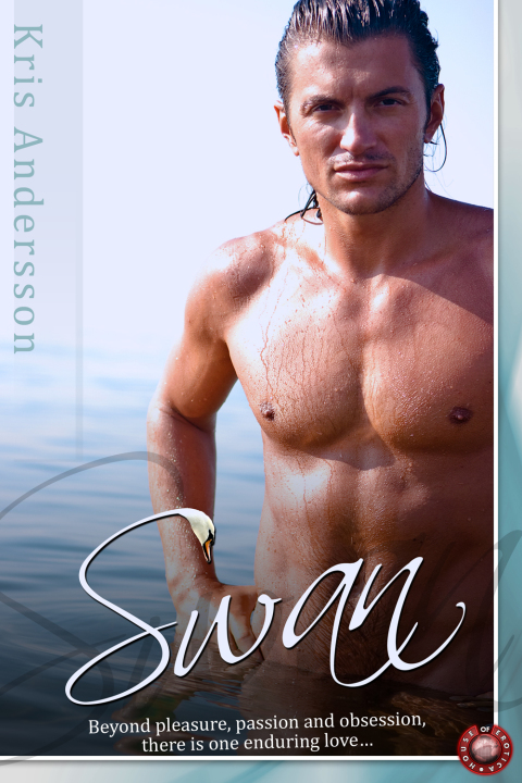Cover image for book Swan