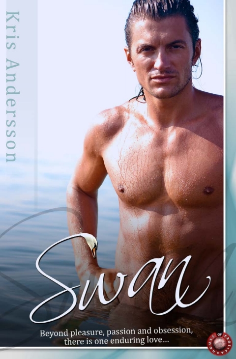 Cover image for book Swan