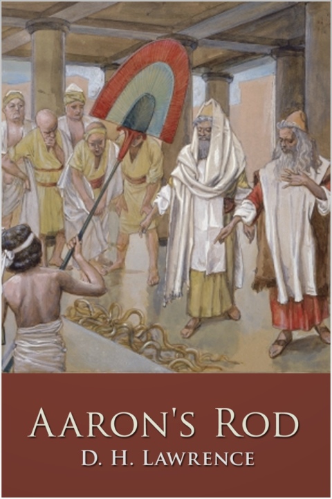 Cover image for book Aaron's Rod