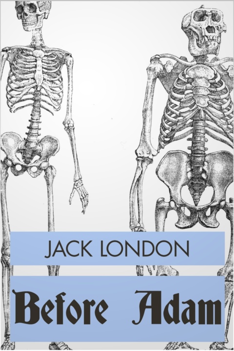 Cover image for book Before Adam
