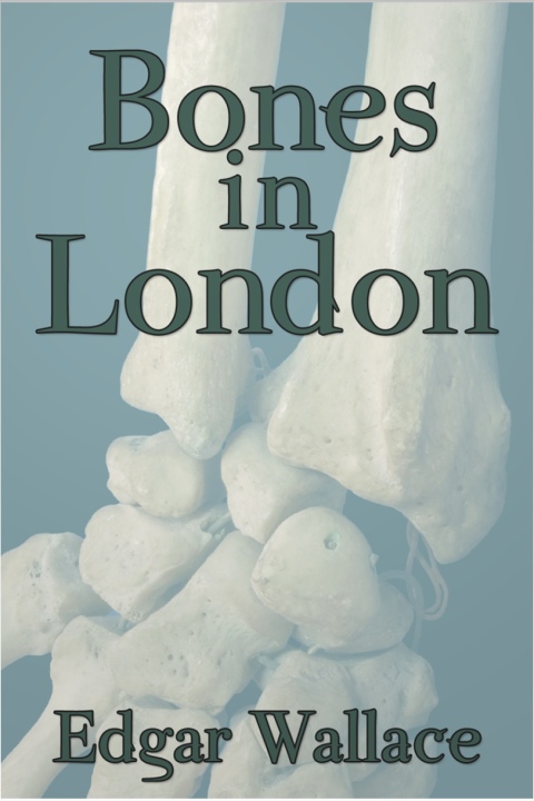 Cover image for book Bones in London