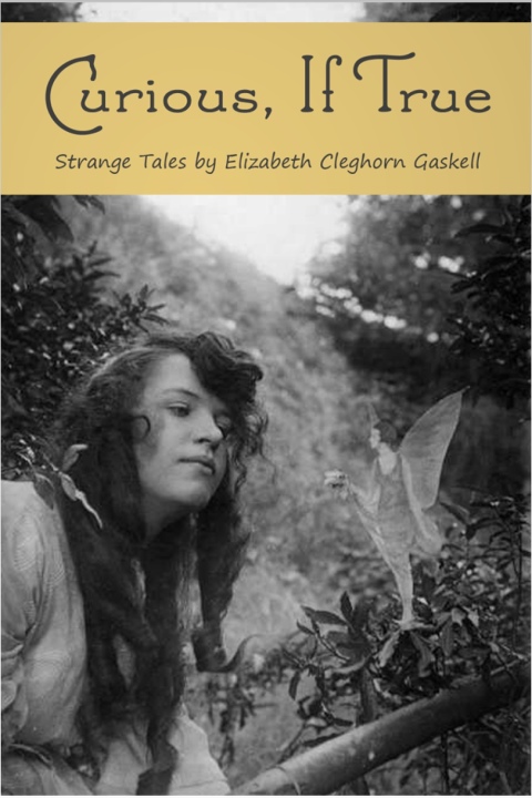 Cover image for book Curious, If True