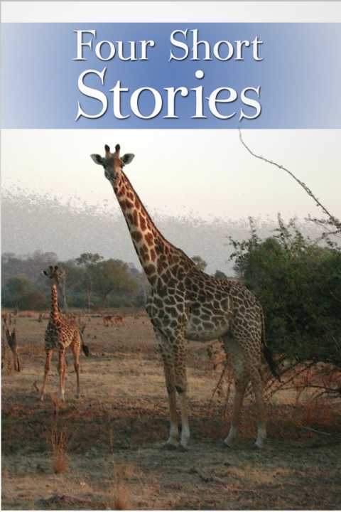 Cover image for book Four Short Stories