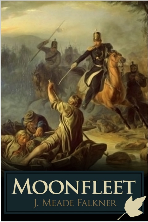 Cover image for book Moonfleet