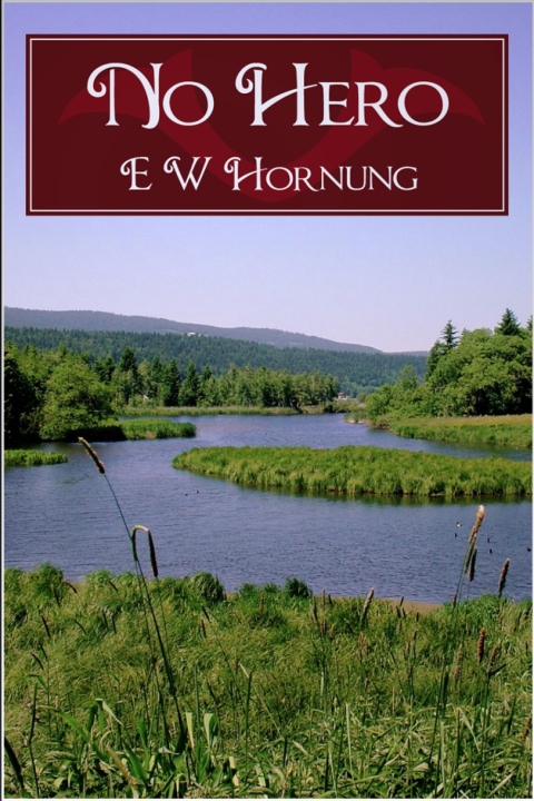 Cover image for book No Hero