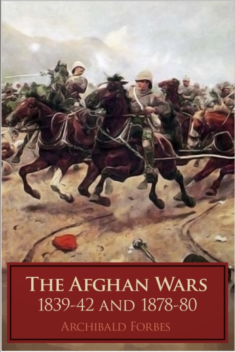 Cover image for book The Afghan Wars