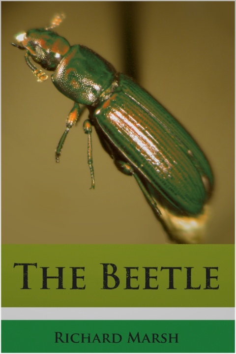 The Beetle 