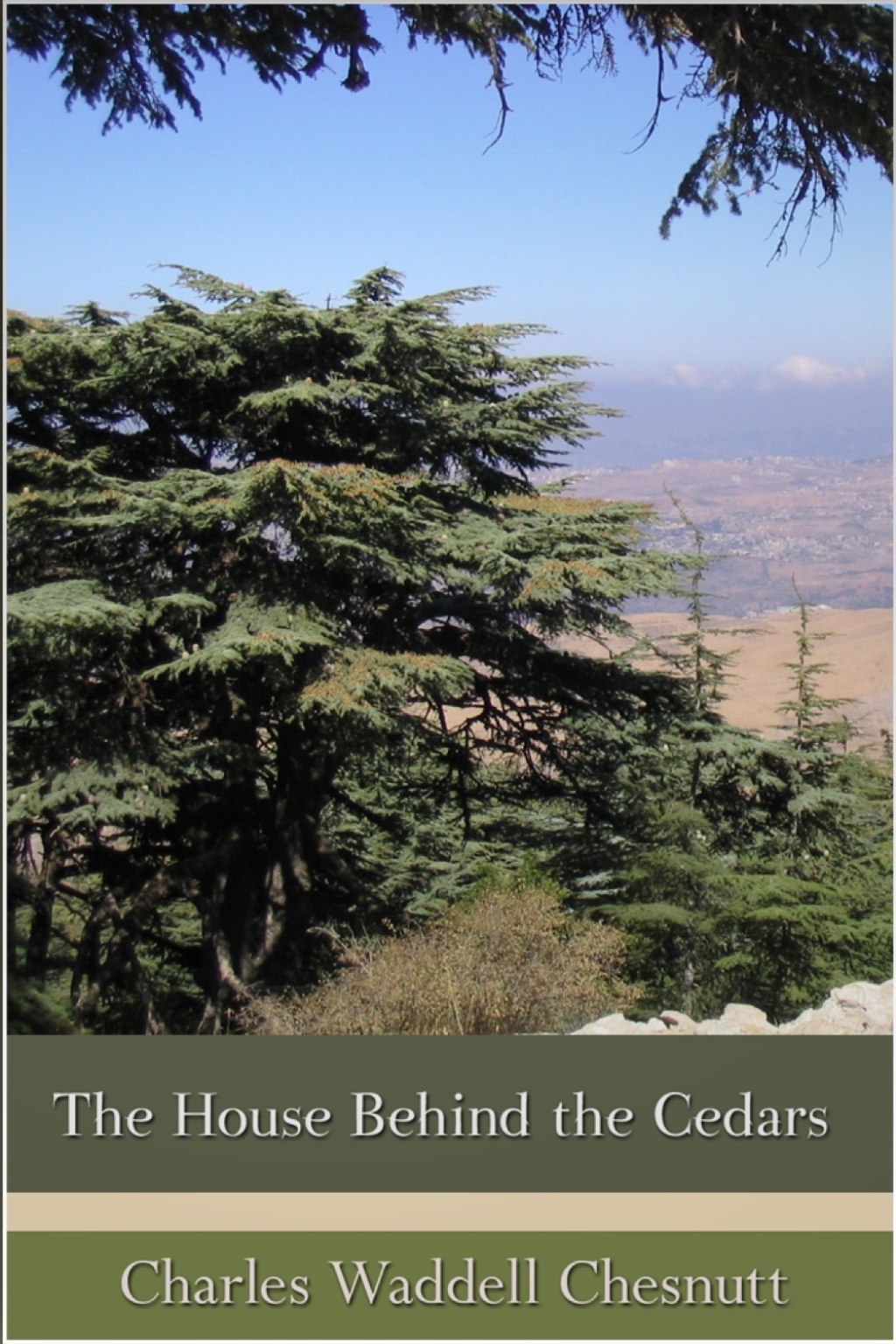 The House Behind the Cedars - 1st Edition (eBook)