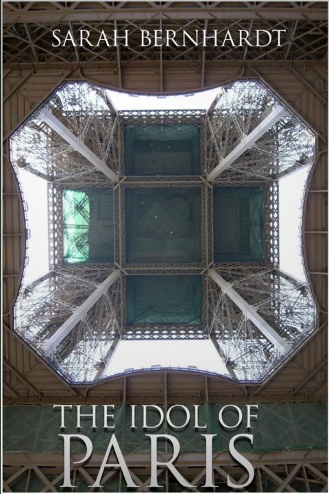 Cover image for book The Idol of Paris