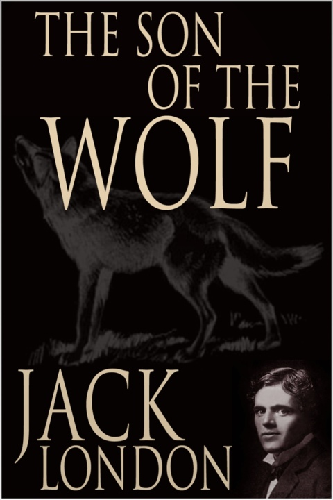 Cover image for book The Son of the Wolf
