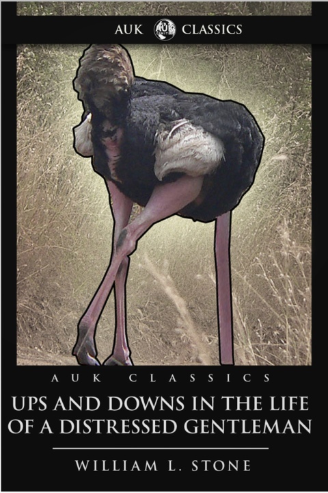 Cover image for book Ups and Downs in the Life of a Distressed Gentleman
