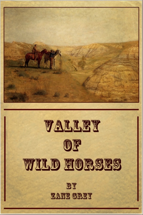 Cover image for book Valley of Wild Horses