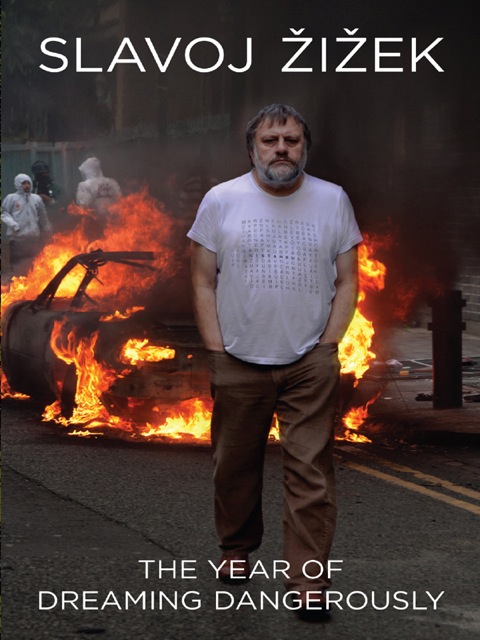 Cover image for book The Year of Dreaming Dangerously
