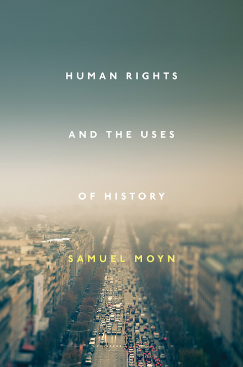 Cover image for book Human Rights and the Uses of History