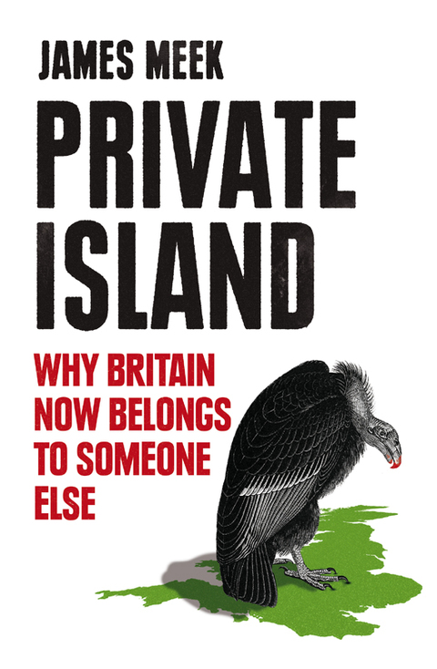 Cover image for book Private Island