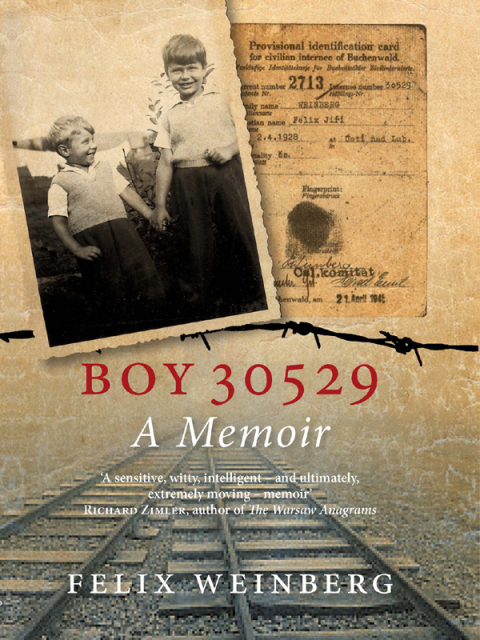 Cover image for book Boy 30529