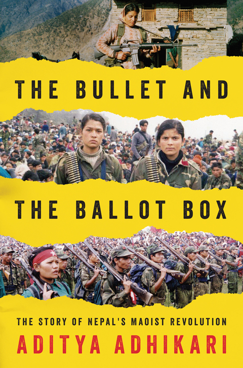 Cover image for book The Bullet and the Ballot Box