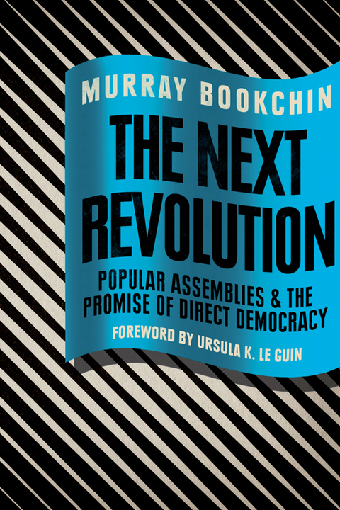 Cover image for book The Next Revolution