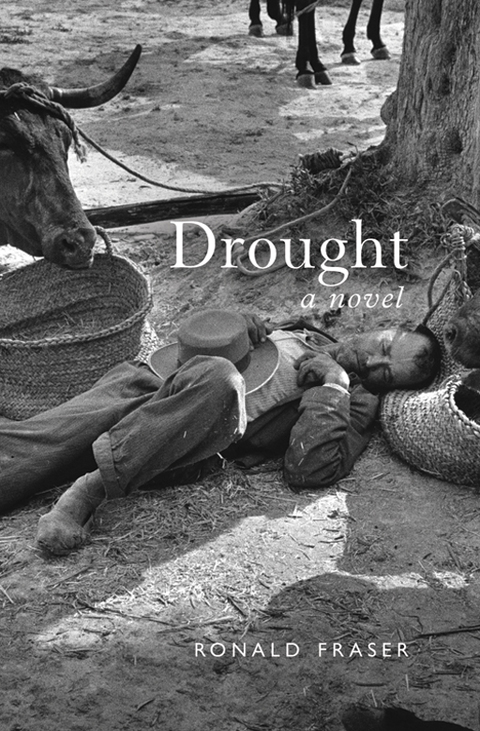 Cover image for book Drought