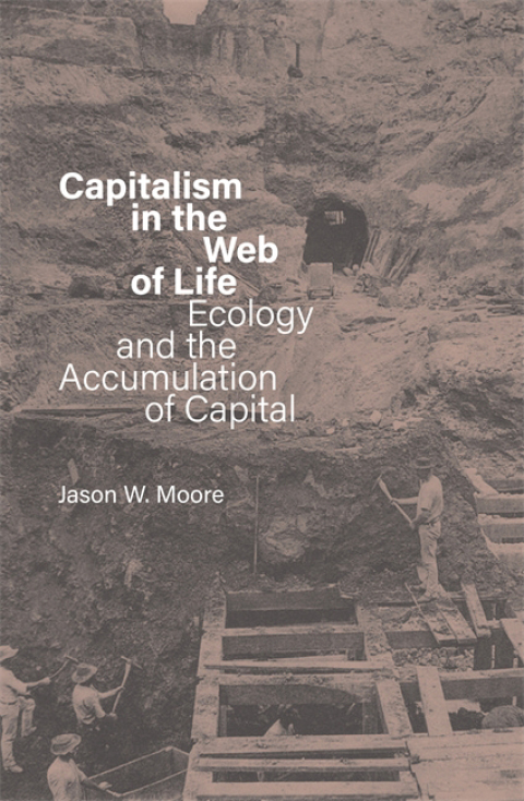 Cover image for book Capitalism in the Web of Life