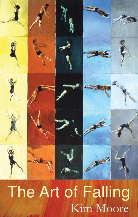 Cover image for book The Art of Falling