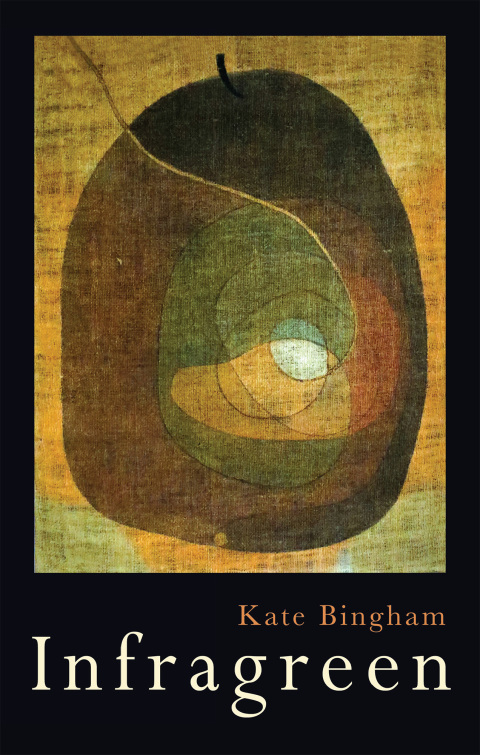 Cover image for book Infragreen