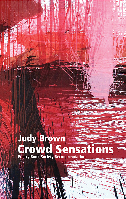 Cover image for book Crowd Sensations
