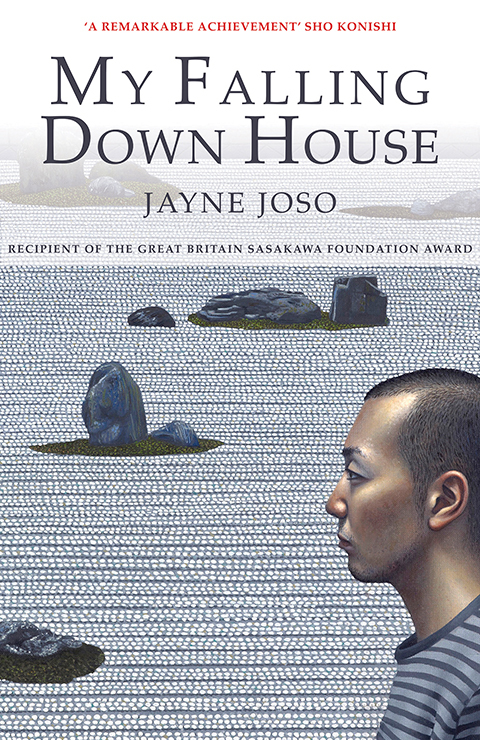Cover image for book My Falling Down House