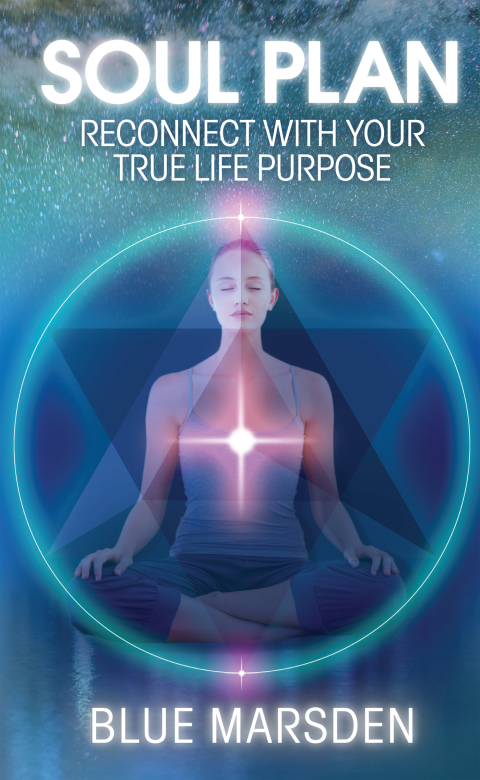 Cover image for book Soul Plan