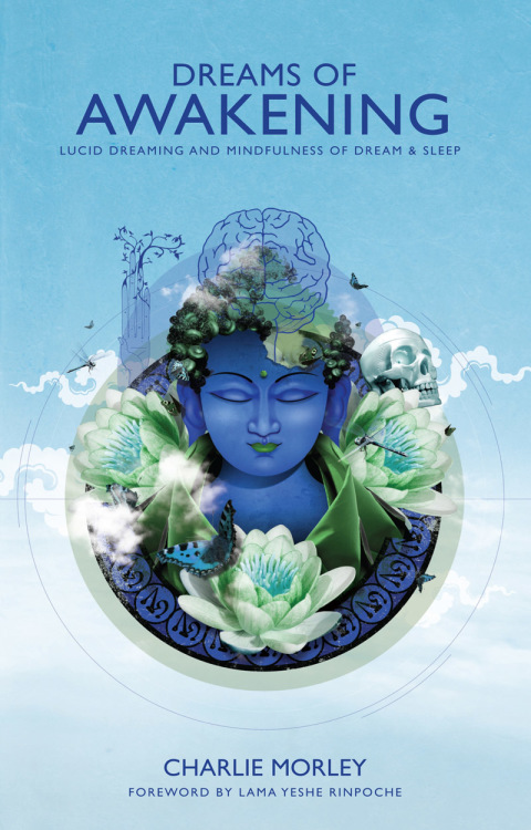 Cover image for book Dreams of Awakening