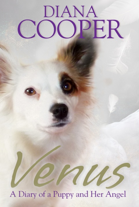 Cover image for book Venus