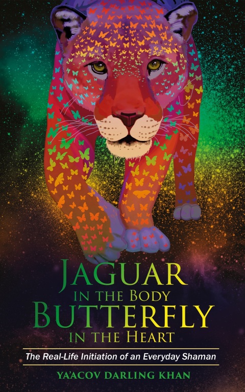 Cover image for book Jaguar in the Body, Butterfly in the Heart
