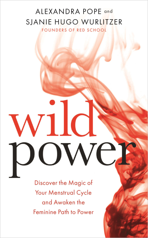 Cover image for book Wild Power