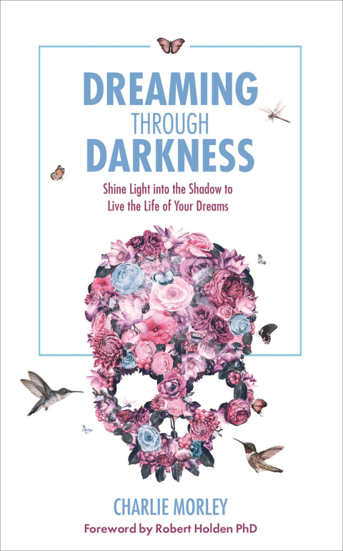 Cover image for book Dreaming through Darkness